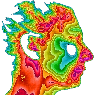 Thermography Interpretation Services