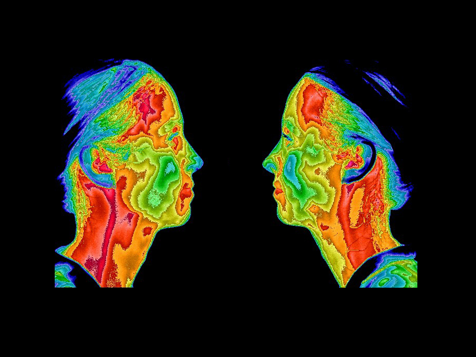 Thermogram of faces