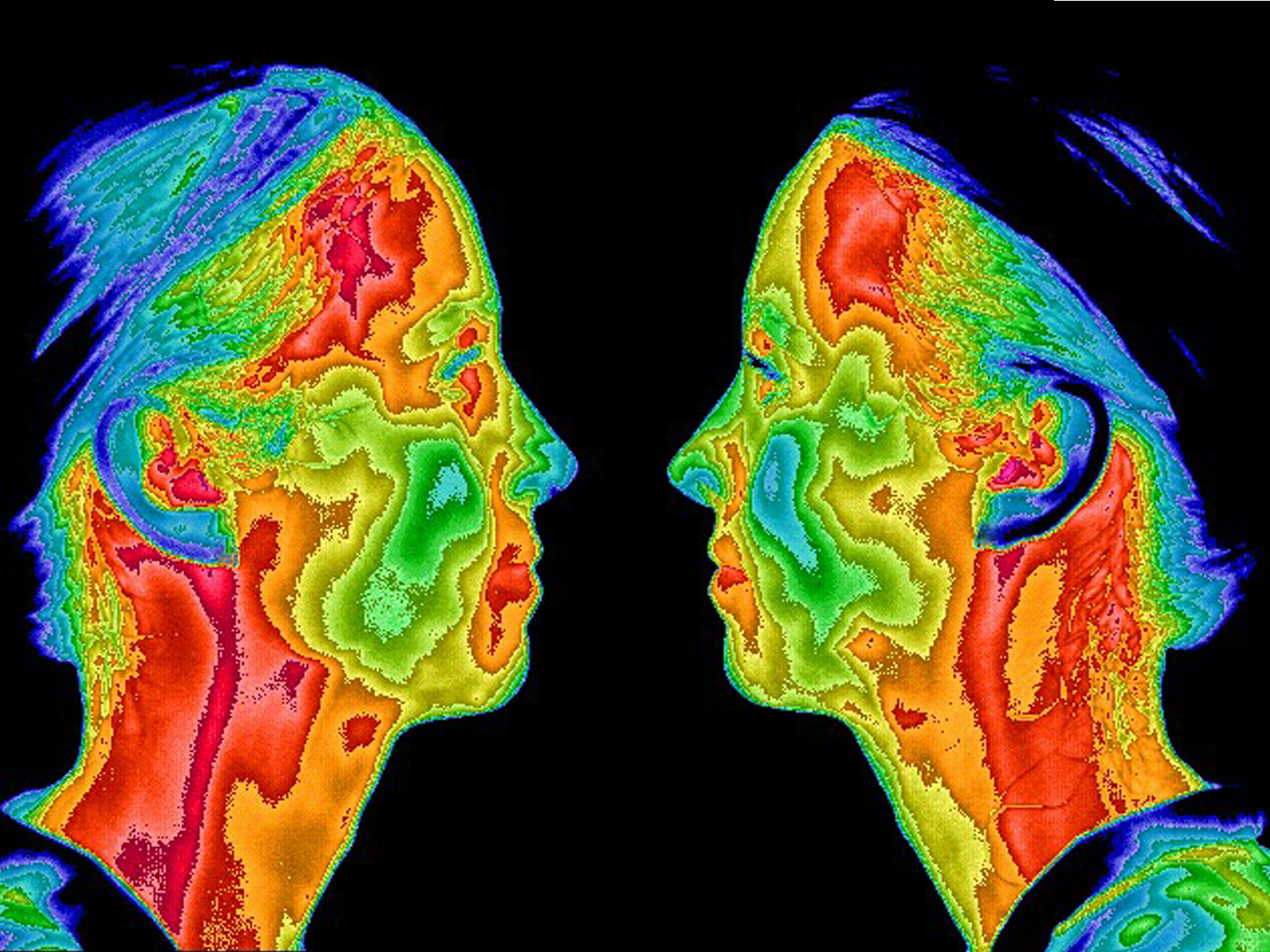 Thermogram of faces
